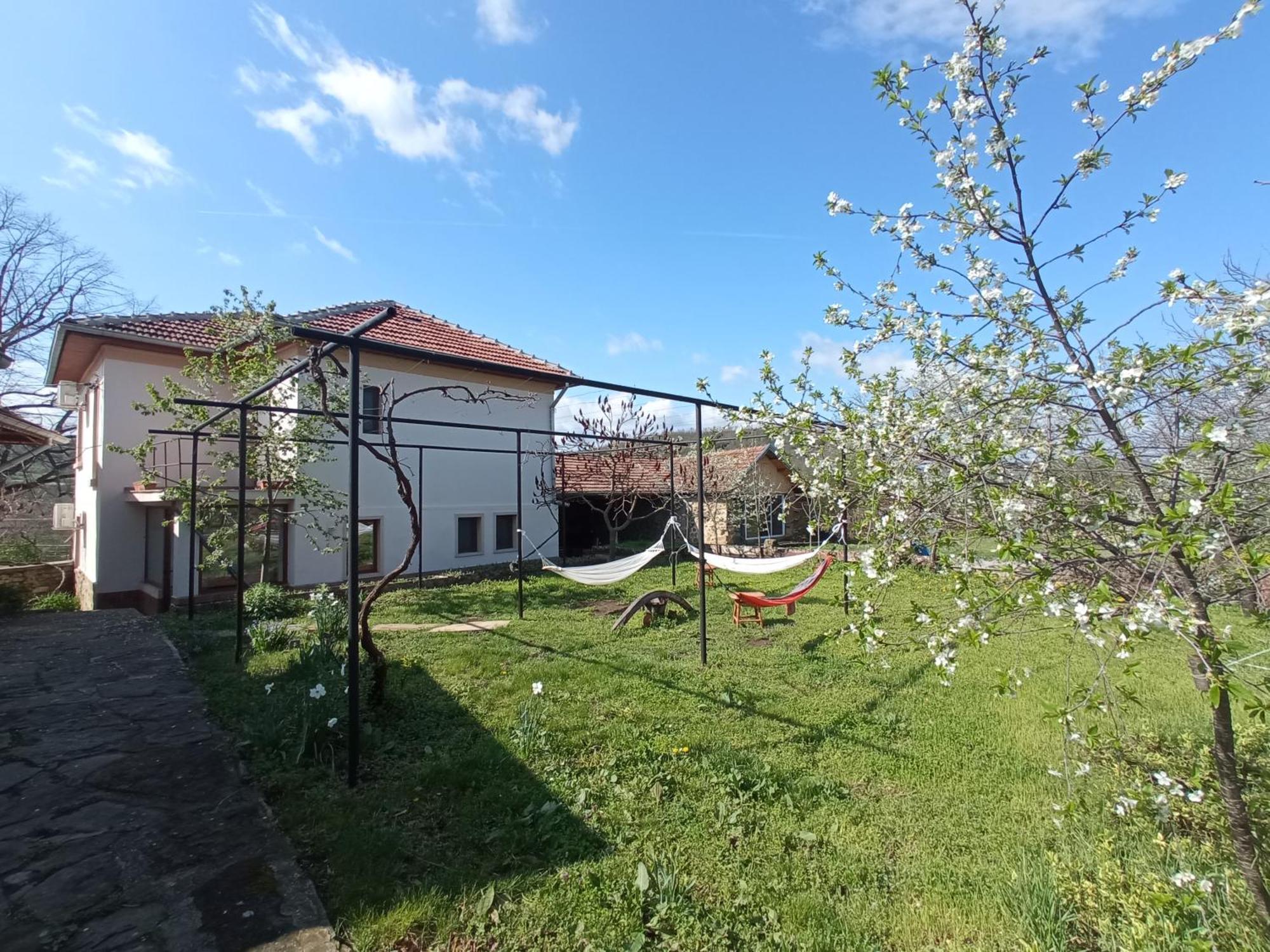 Guest House Art Eco Land Ganchovets Exterior photo